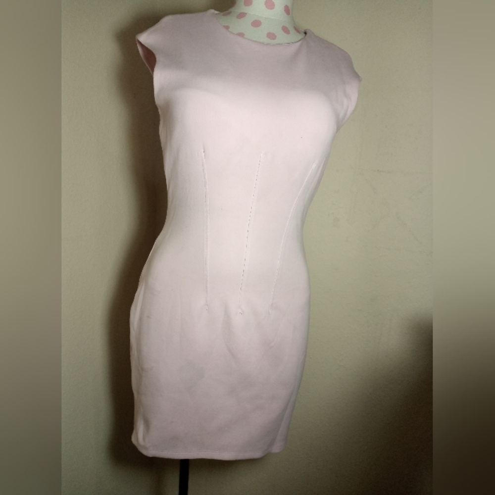 Zara Soft Pink Garment